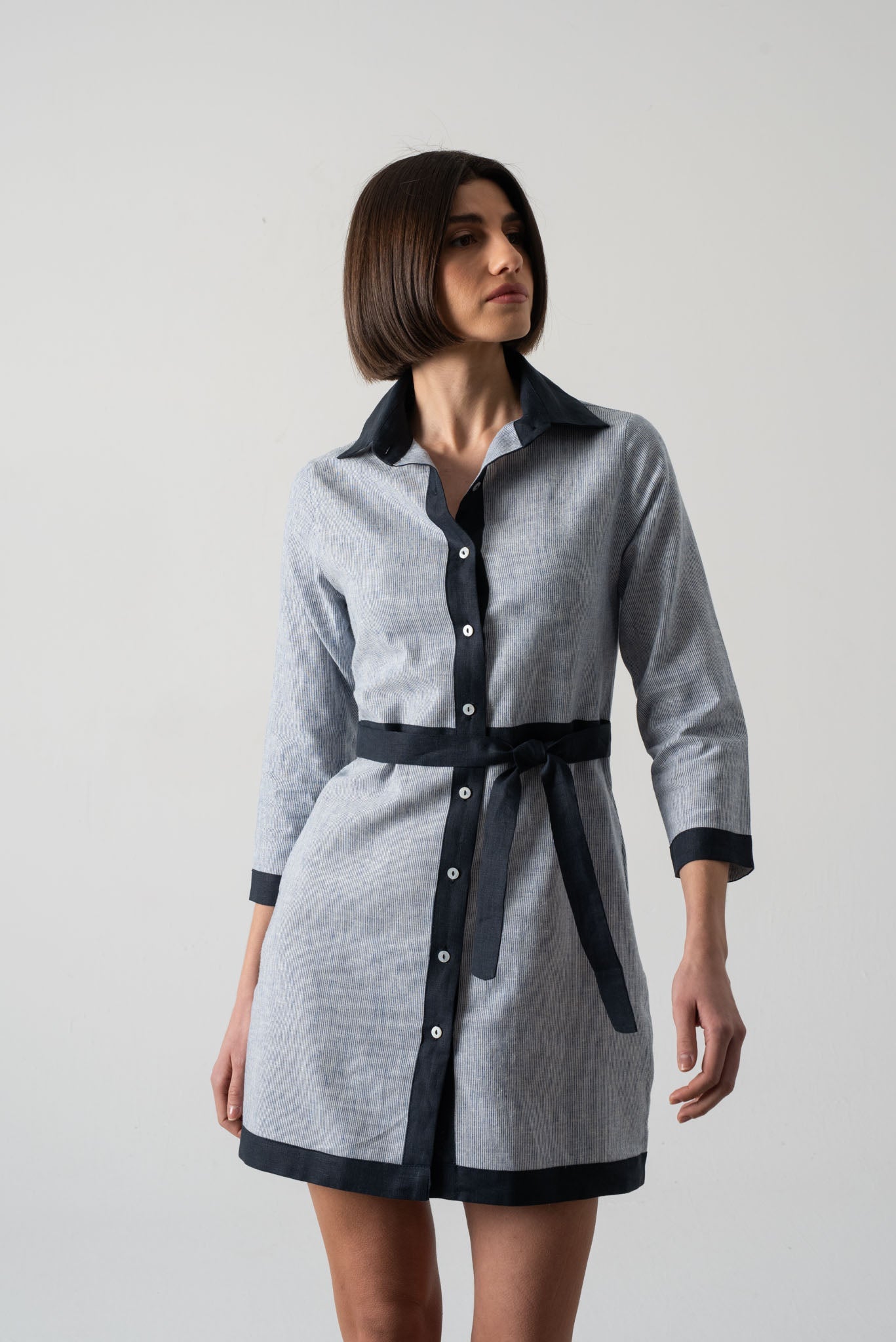 Aris Dress French Stripe Luxmii