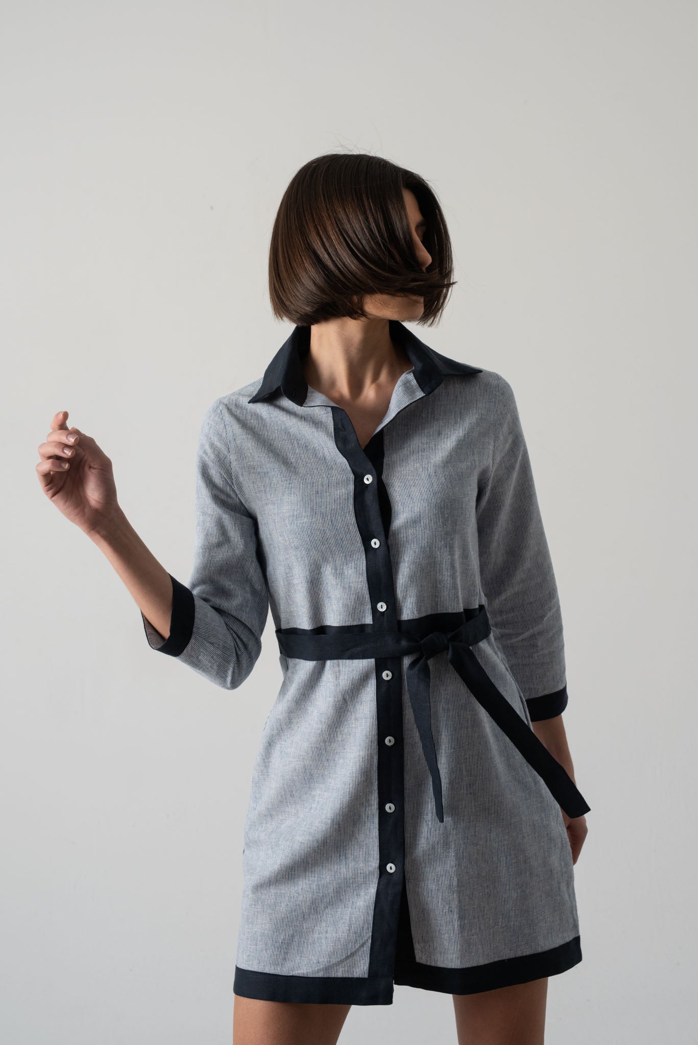 Aris Dress French Stripe Luxmii